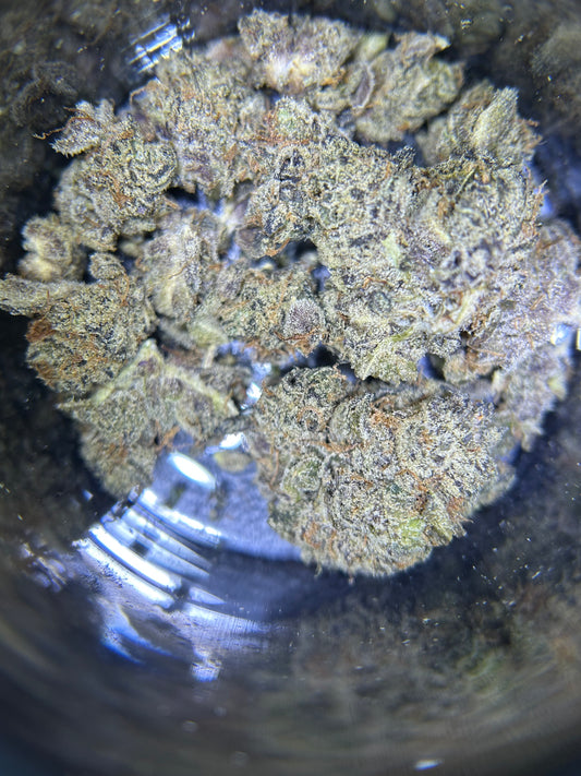 Northern Lights Flower