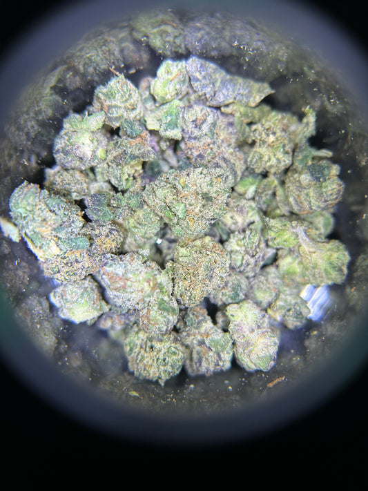 Blue Nerds Smalls