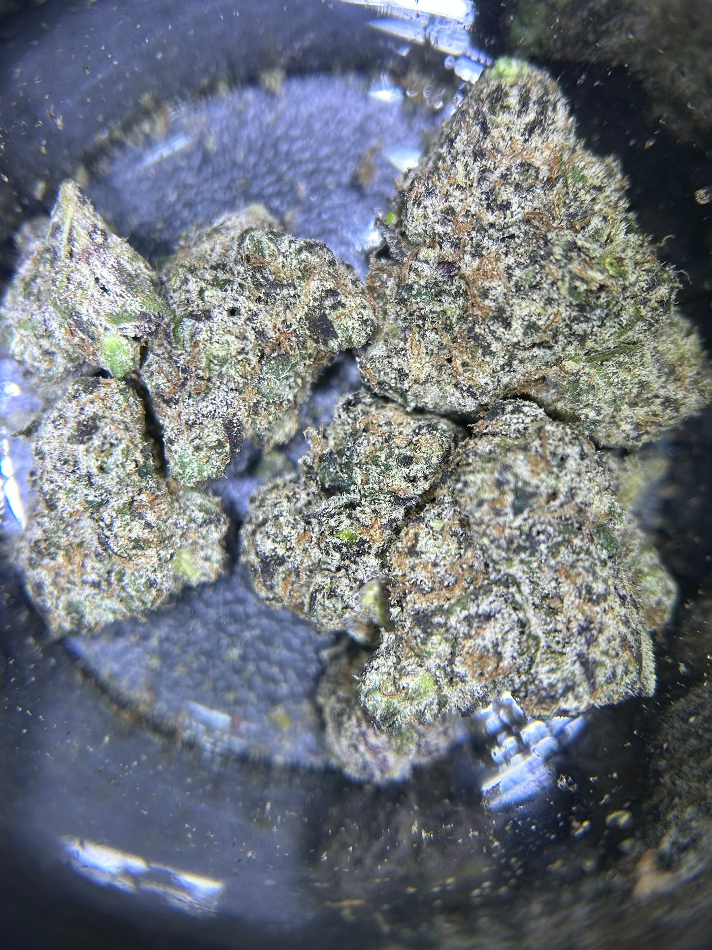 Bubba Runtz Flower