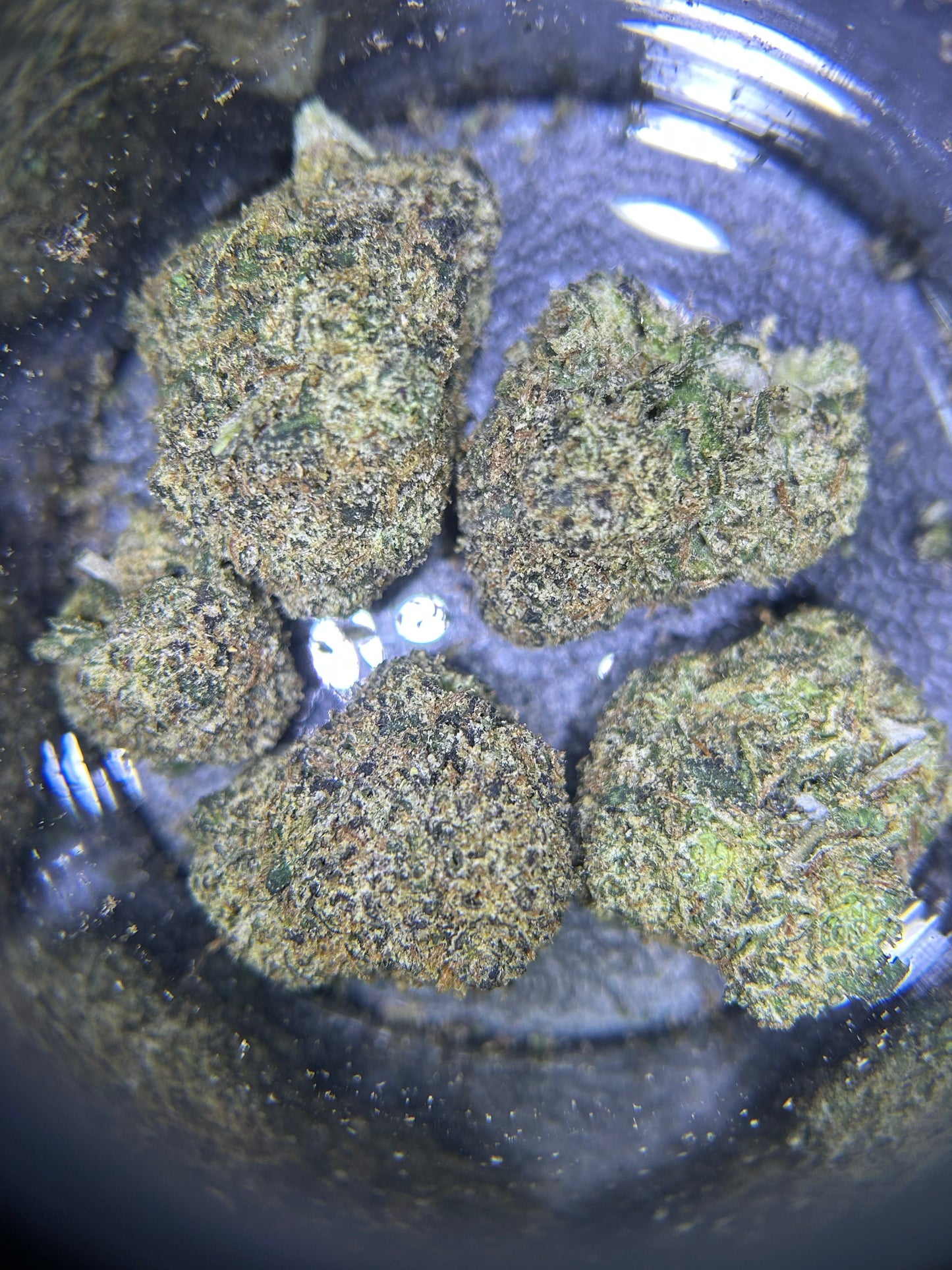 Girl Scout Cookies Flower (Favorite)