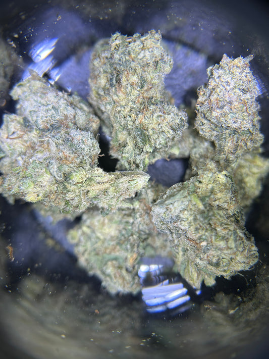 Jungle Pie Flower