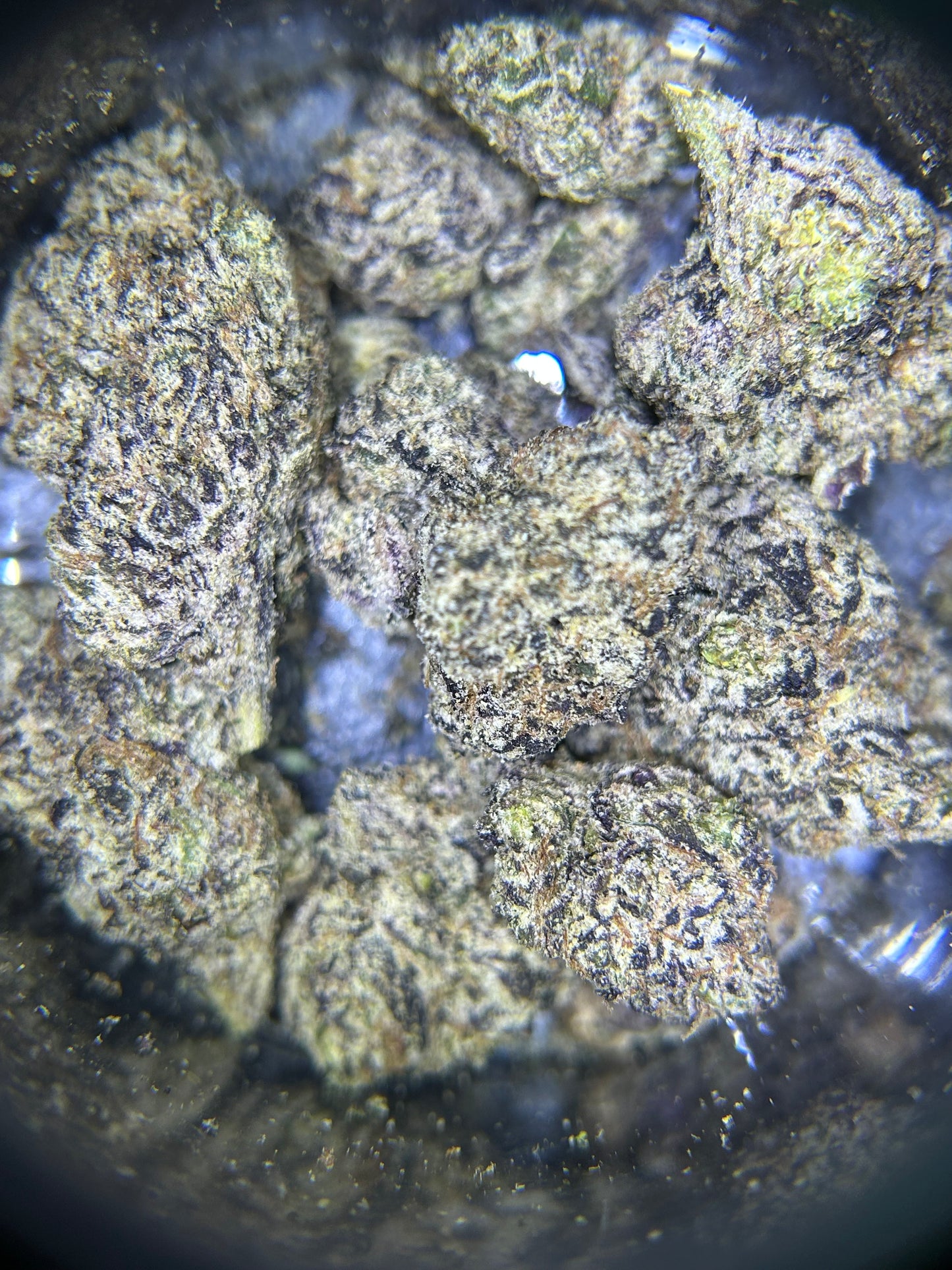 Top Runtz Flower (Favorite)